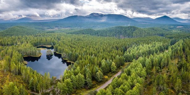 Overview of Loch Morlich, Glenmore Forest Park, Cairngorms National Park, Highlands, Scotland, Great