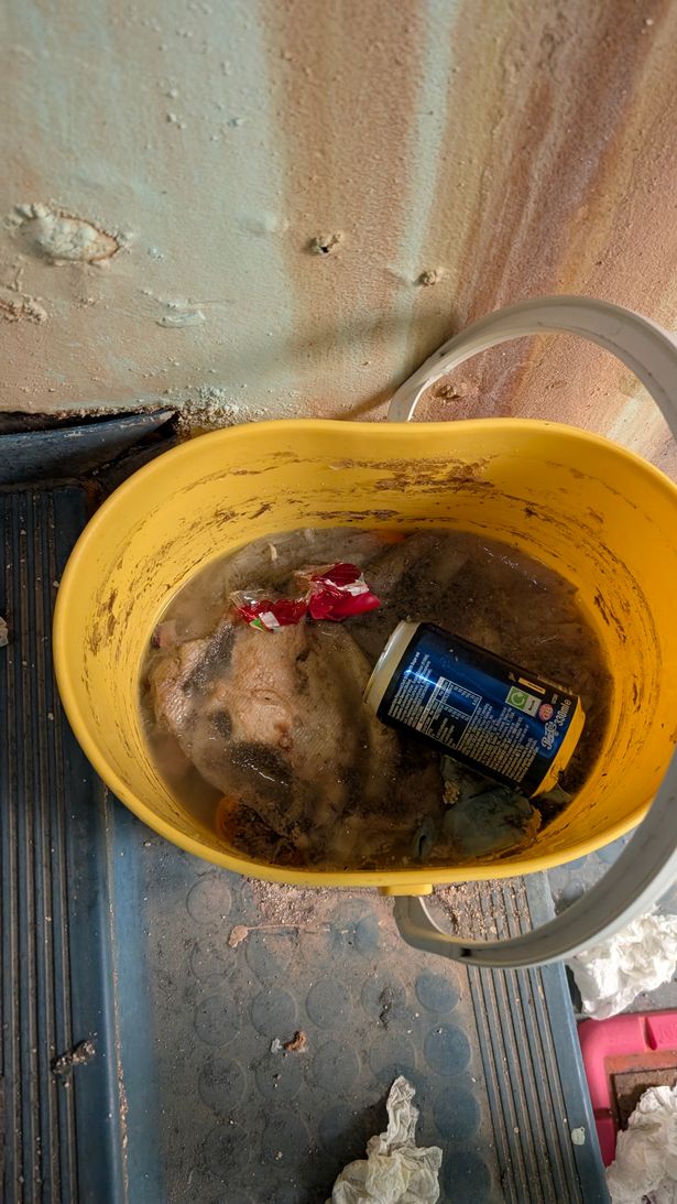 Whistleblower's images of leaks and water damage at University Hospital of Wales