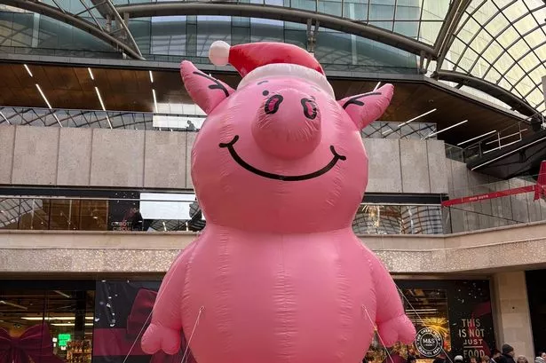 A giant Percy Pig, sporting a Santa hat, kept shoppers entertained on opening day