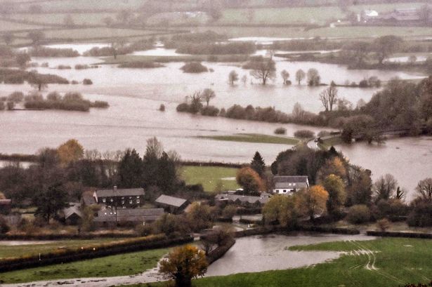 Flooded fields