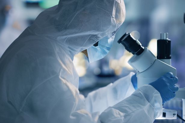 A photo of a scientist