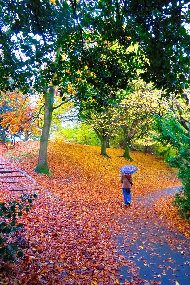 Sefton Park during the autumn months