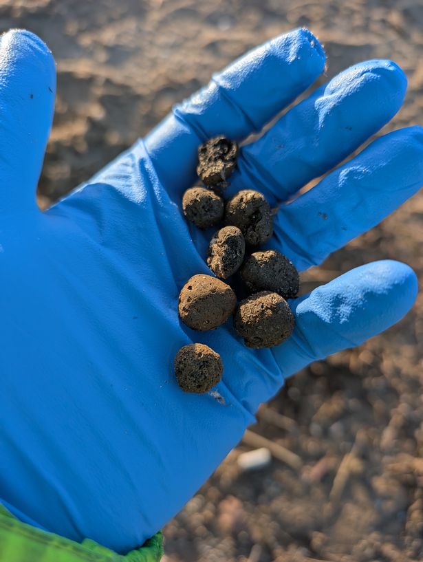 The small balls have raised concerns about possible pollution