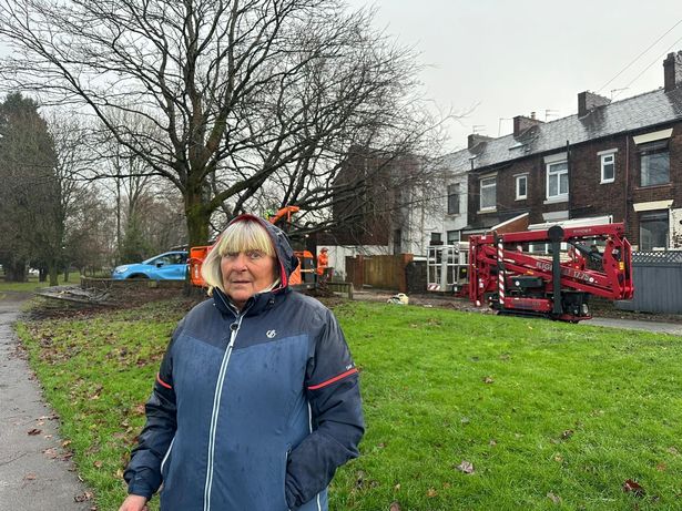 Susan Jenkins, 72, was inside her house when the tree collapsed.