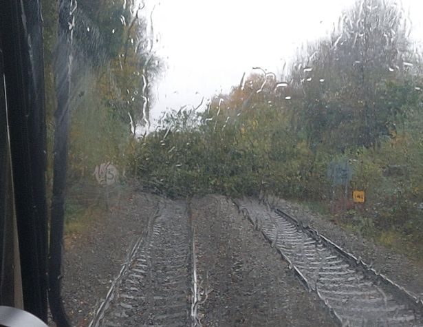 A train driver's view of a tree down on the track on one of the railway lines - with the Snow Hill and Chase lines mentioned