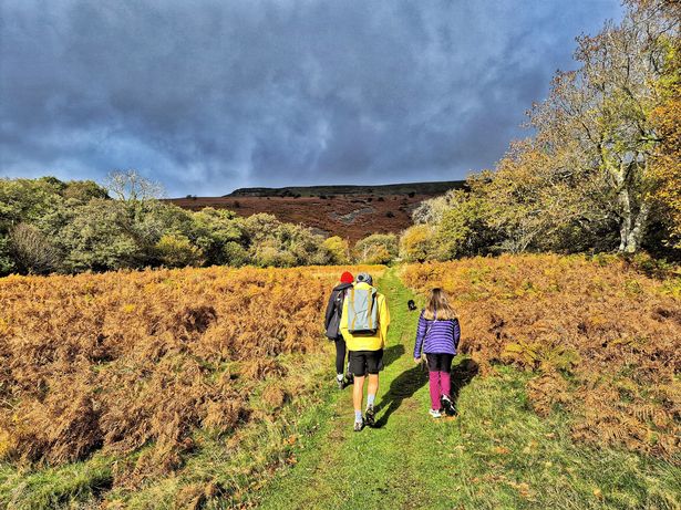 There are several hiking routes from Crickhowell to Table Mountain, ranging from direct paths to longer circular routes that incorporate other peaks