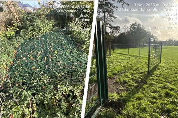 Images provided by Cotham School of damage to the fence around its Stoke Lodge playing fields
