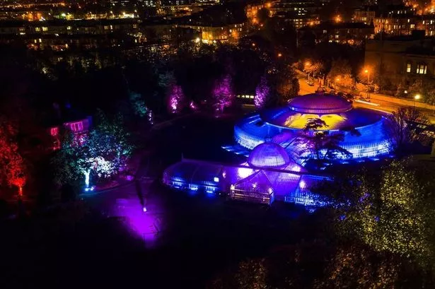 Glasgow’s Botanic gardens in the city's West End illuminated with lights and sound effects