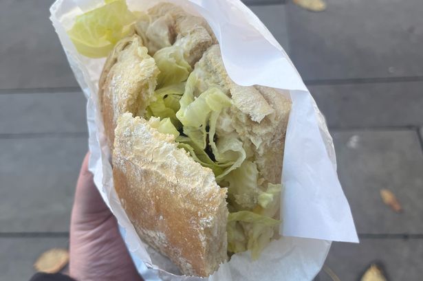 A chicken club sandwich on white bread