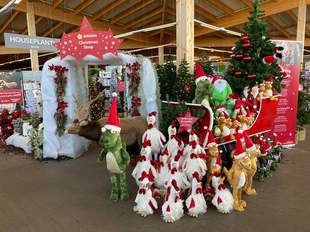 Festive display at Dobbies 