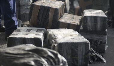 Large-Scale Police Raid Targets Drug Gang in Spain ━ The European Conservative