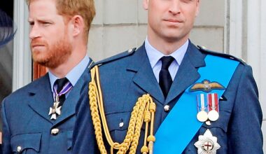 The royal brothers, pictured in 2018, have a long-reported rift which shows no sign of abating, but the Duke's spokesperson insisted the visit had been almost a year in the making