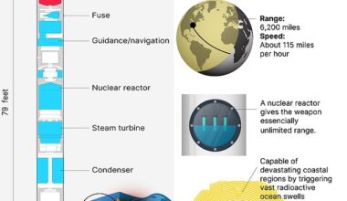 Revealed: Russia's deep-sea 'terror weapon' that could SINK Manhattan under miles of radioactive water… and why it's now forced Trump to consider the unthinkable