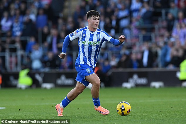 Left back Harry Amass has been thriving on loan at Championship strugglers Sheffield Wednesday