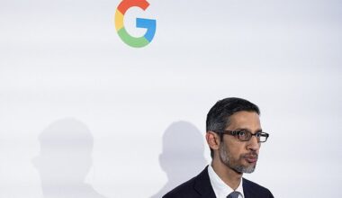 Sundar Pichai (pictured), chief executive of Google owner Alphabet, acknowledged there was some ¿irrationality¿ in the current boom