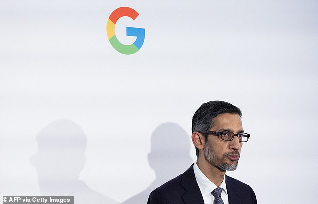 Sundar Pichai (pictured), chief executive of Google owner Alphabet, acknowledged there was some ¿irrationality¿ in the current boom