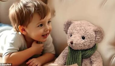The toy - a Kumma-branded bear, right, made in China and sold for $99 - was one of several AI products put through safety testing by researchers in the US and Canada