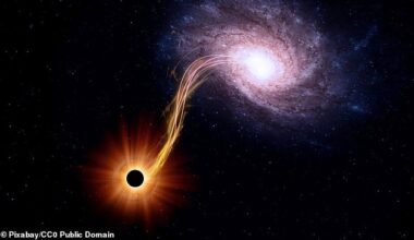 A scientist has revealed what would happen if you walked into a black hole, and his calculations show the gruesome effects it would have on your body