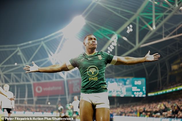 Damian Willemse's early try and celebration showed the confidence this Springboks team has