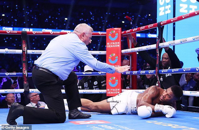 A ringside seat with all the trimmings costs $30,000 (£22,673) and the'Diamond VIP package' includes a post-fight in-ring photo opportunity and access to press conference and weigh-in