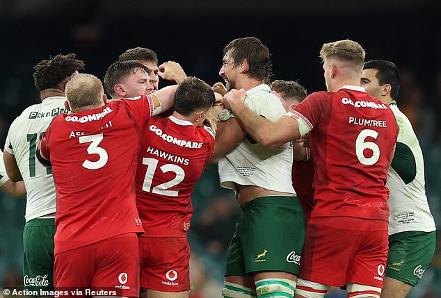 South Africa rugby legend faces a 12- WEEK ban after disgraceful eye gouge on Wales rival - but captain Siya Kolisi launches astonishing defence of teammate: 'I'm sure he didn't mean it'