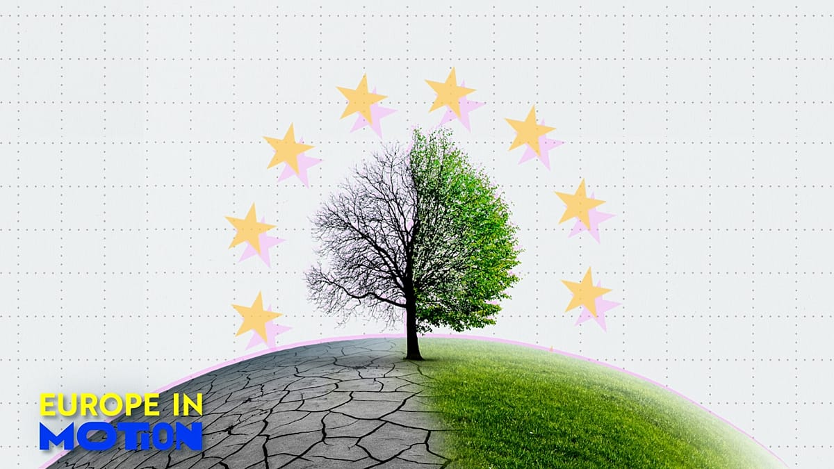 As COP30 continues, what are European citizens' views on climate change?