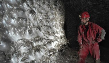 World's biggest spiderweb home to more than 110,000 spiders discovered on the Albanian-Greek border