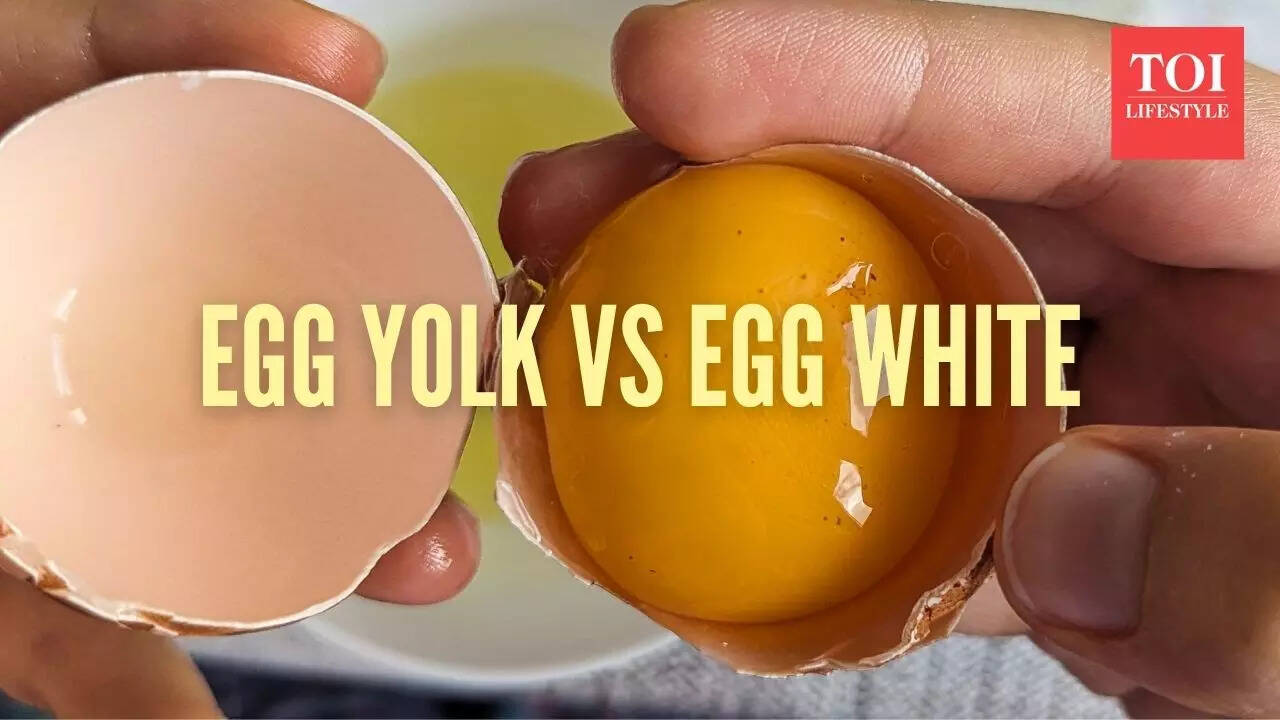 Which egg part has more protein and nutrition