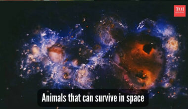 ​5 incredible animals found on Earth that can survive the harsh conditions of space