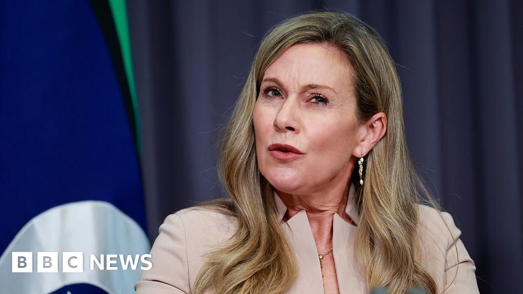 US congress calls for testimony from Australia's 'zealot' internet regulator