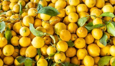 7 Benefits of Lemon Water, Explained by the Experts