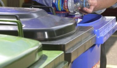 Formal challenge over East Suffolk Council bin lids decision