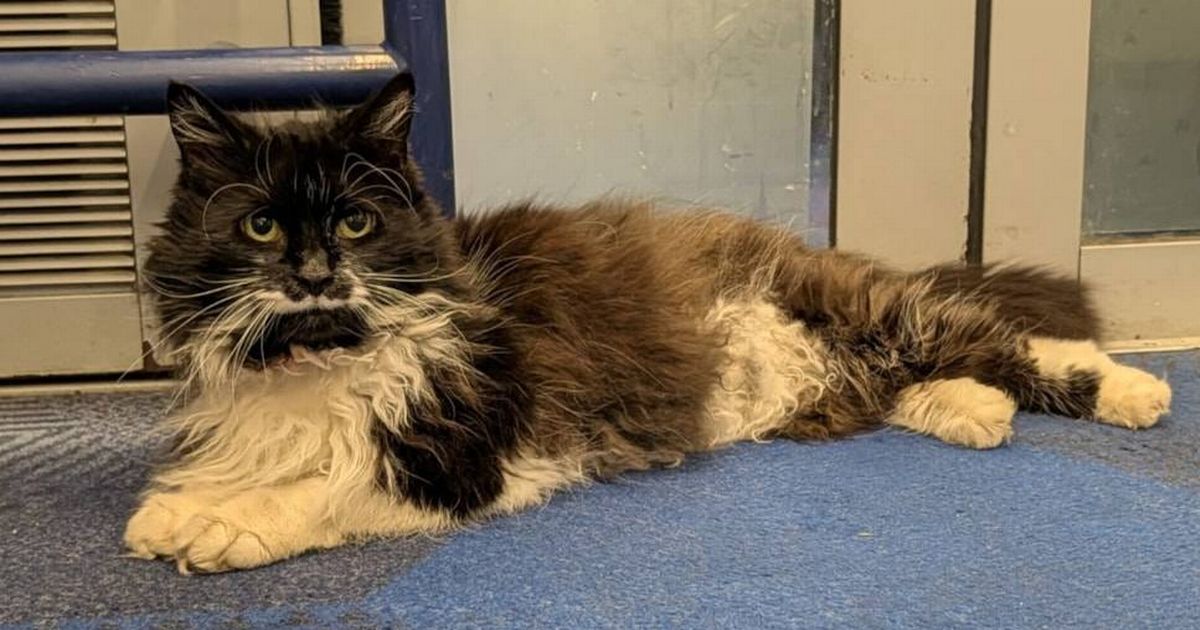 Manchester Evening News