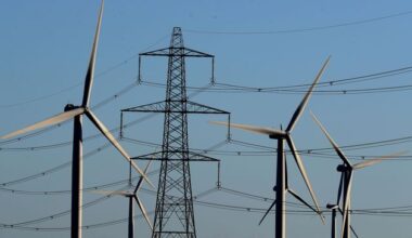 Four people awarded €300,000 for wind farm nuisance in landmark case