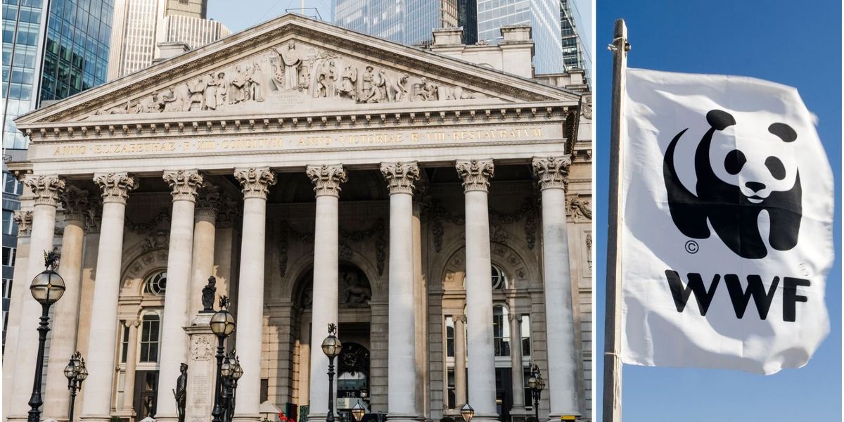 Bank of England told it 'must do so much more' to tackle climate change