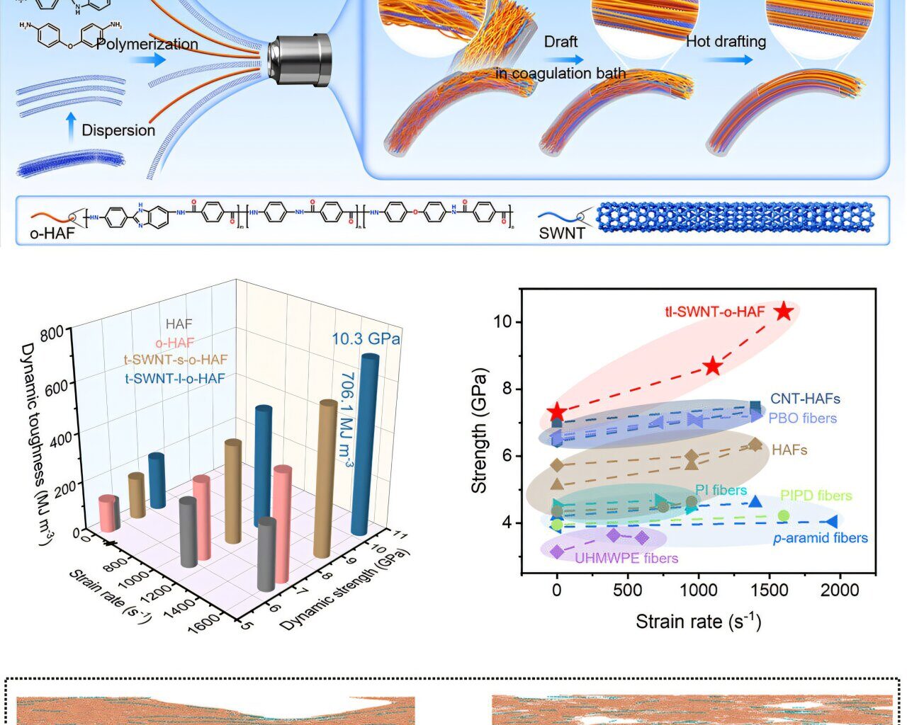 Scientists create new bullet-proof fiber that is stronger and thinner than Kevlar
