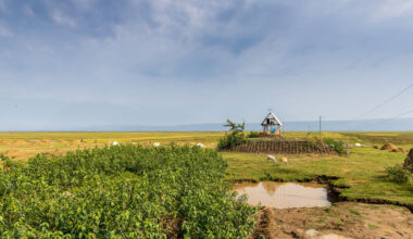 Khudi Bari: Architecture for Climate Displacement