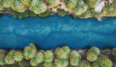 Best Places To Retire Outside U.S. For Financial Security, As Per Reports