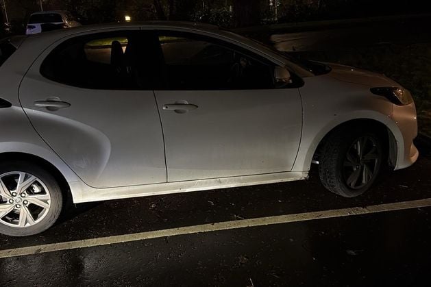 Two arrested after police locate man wanted for theft spree