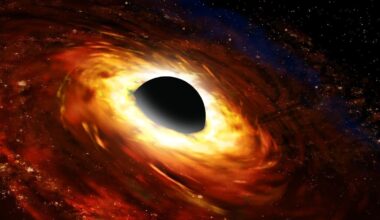 Simulations suggest the early universe helped black holes grow big, but not in the long run
