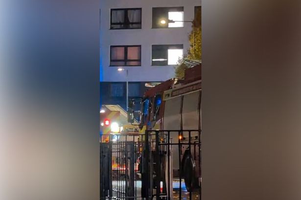 Crews at the scene on Brownley Court Road