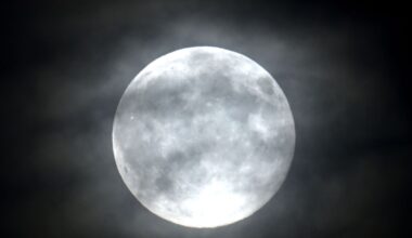 Manchester Evening News