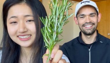 Rosemary compound found to support healthy skin regeneration after injury