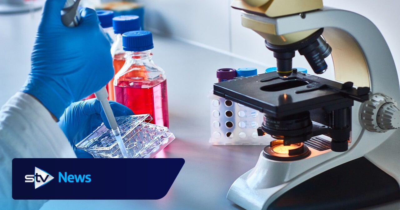 Glasgow scientists create first lab-grown bone marrow for cancer research