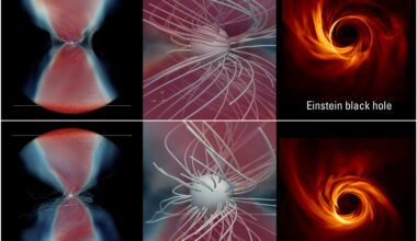 Are there different types of black holes? New method puts Einstein to the test