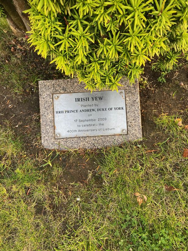 The plaque at the Irish Yew tree in Lagan Valley Island- reads: 'Planted by HRH Prince Andrew Duke fo York'. 