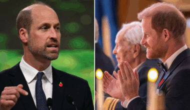 Prince Harry jokes about his own hairline after previously critiquing Prince William’s ‘alarming baldness’