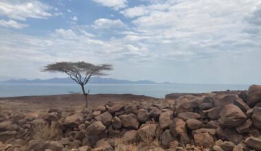 East African Rift study uncovers why breaking up is hard for some continents