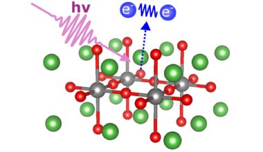 Charge carrier pairs in cuprate compounds shed light on high-temperature superconductivity
