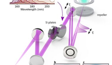 Ultrafast VUV pulses fully characterized for probing valence electron dynamics